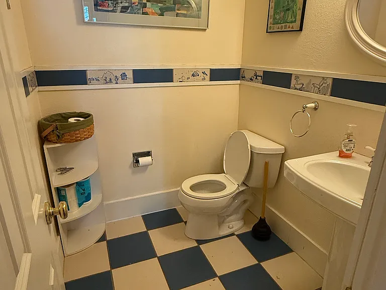 Rec room bath.