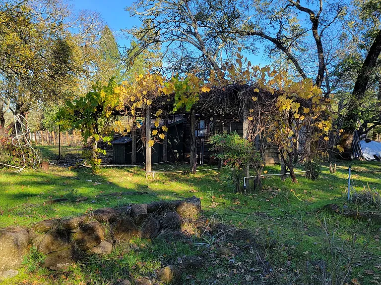 450 Sky Oaks Dr — Photo 10