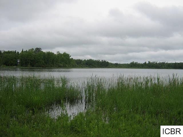 2nd image of 38472 Little Moose Dr