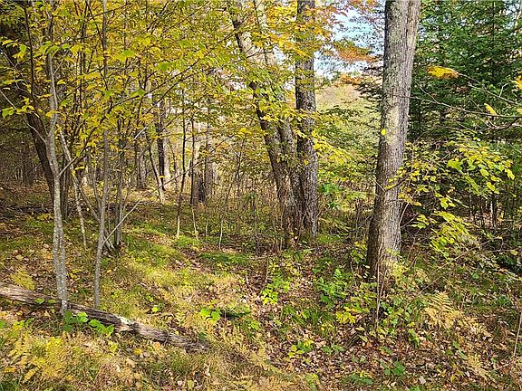 4th image of 000 Sawdust Rd