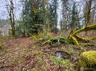 134 Tilton Drive, Morton, WA 98356