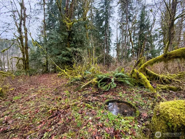 134 Tilton Drive, Morton, WA 98356