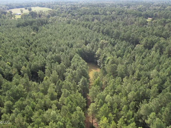 Bethel Rd, Liberty, MS 39645