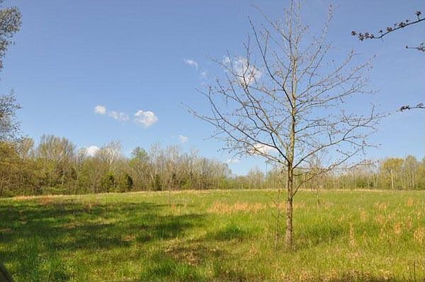 1st image of 17880 Deertrace Ln