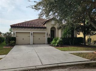 20311 Chestnut Grove Dr, Tampa, FL 33647