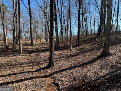 0 Montego Bay Trl #2, Clarkesville, GA, 30523