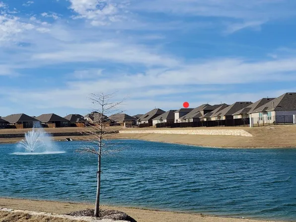 916 Elizabeth St, Anna, TX 75409