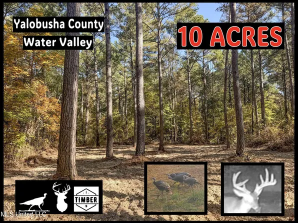 County Road 94 Coleman Rd, Water Valley, MS 38965