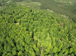 Piper Ln, Frederic, MI 49733