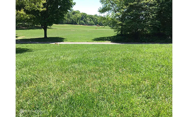 Rented by Douglas Elliman | media 35