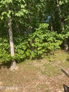 127 Brokenwood Ln, Fairfield Glade, TN, 38558