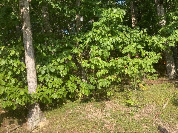 127 Brokenwood Ln, Crossville, TN 38558