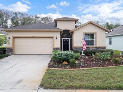 11246 Merganser Way, New Port Richey, FL, 34654