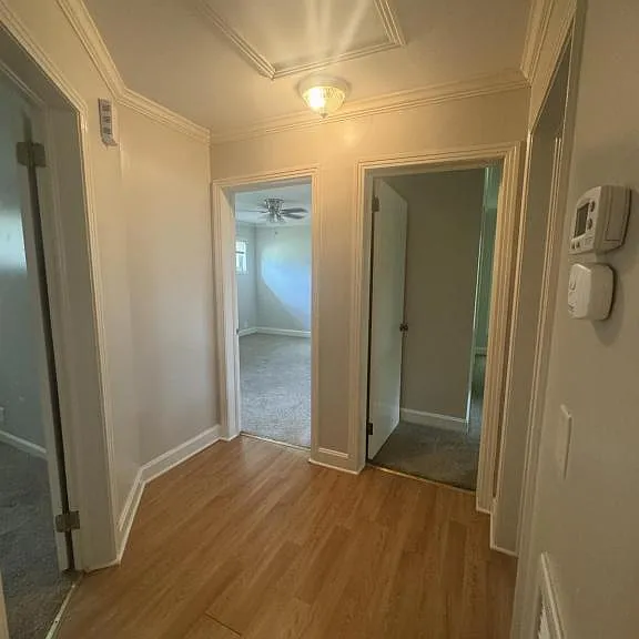 1103 W College St — Photo 11