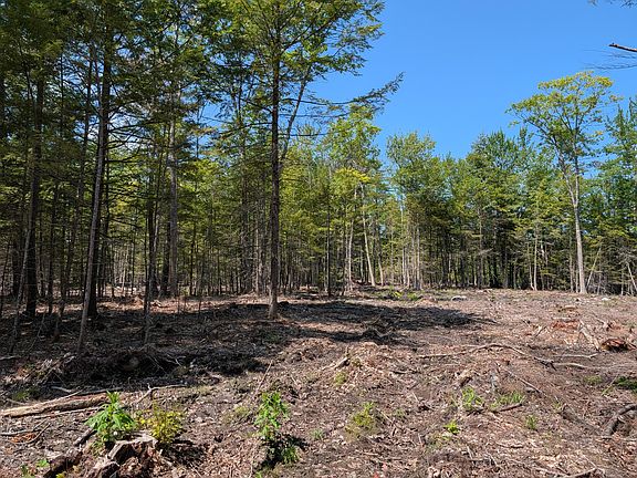 3rd image of Lot 9A Maple Ridge Road