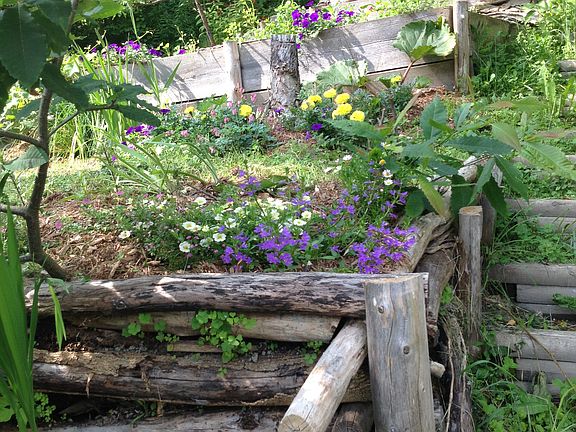 Back of the House Garden