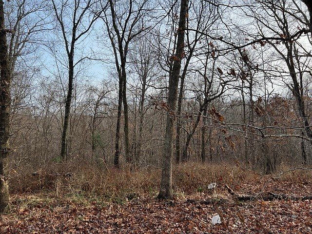 2nd image of 21502 Shady Black Oak Way