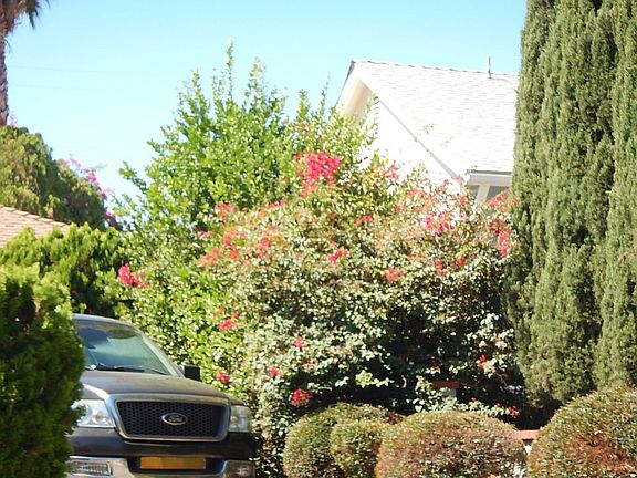 4th image of 13777 Brussels Ave