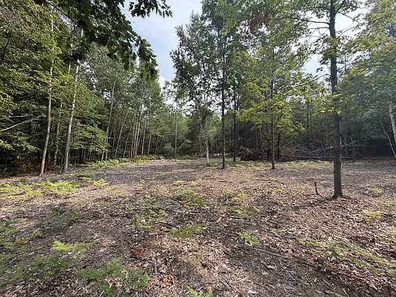 2nd image of 8300 JUDDVILLE HILL ROAD #8328