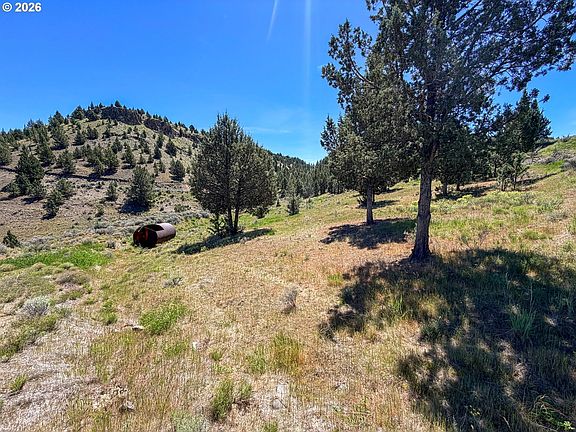4th image of Luce Creek Rd