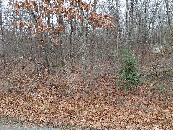 3rd image of 249 Thrushwood Dr