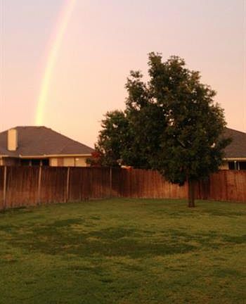 2nd image of 347 Mesquite Hill Dr