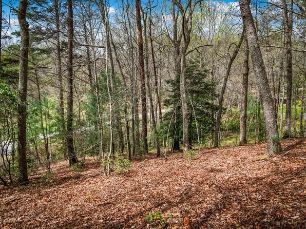 1 Wolf Creek Est, Mineral Bluff, GA 30559