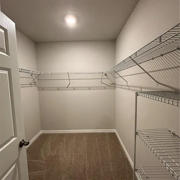 20461 Camino Torcido Loop — Photo 15