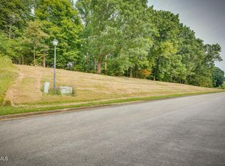 41 Chimney Top Ln, Chuckey, TN 37641