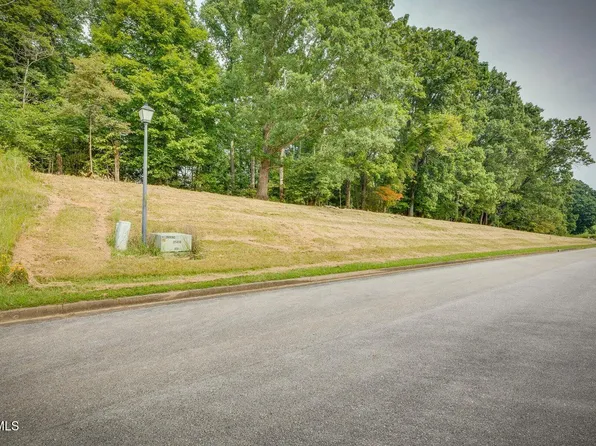 41 Chimney Top Ln, Chuckey, TN 37641