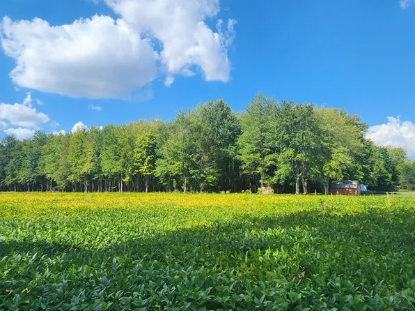 2089 State Route 133, Bethel, OH 45106