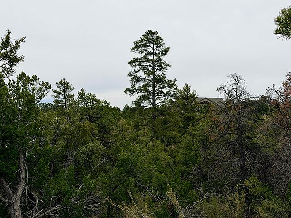 5th image of 4918 Sunset Ridge Loop