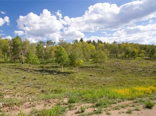 126 Panuard Ln, Hartsel, CO 80449