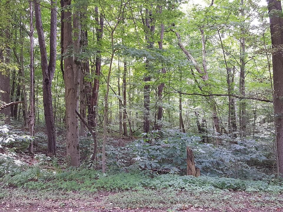 2nd image of Gards Prairie Rd