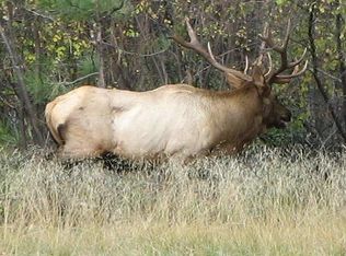 469 Blair Ln, Victor, MT 59875