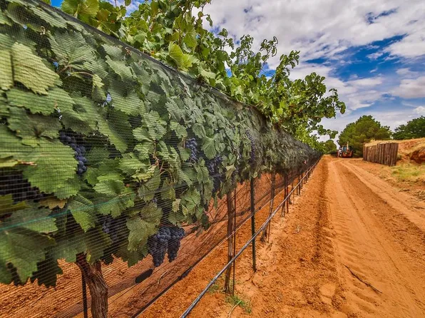 1903 N Ballard St, Brownfield, TX 79316