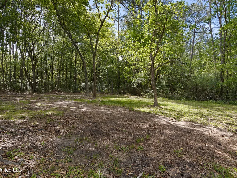 11612 Independence Rd — Photo 22