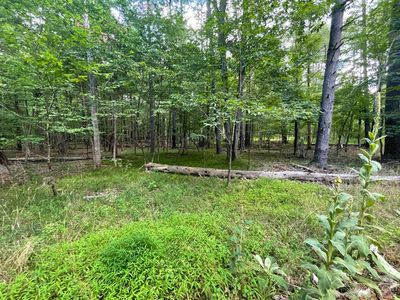 1 Indian Ridge Rd, Earlton, NY, 12058