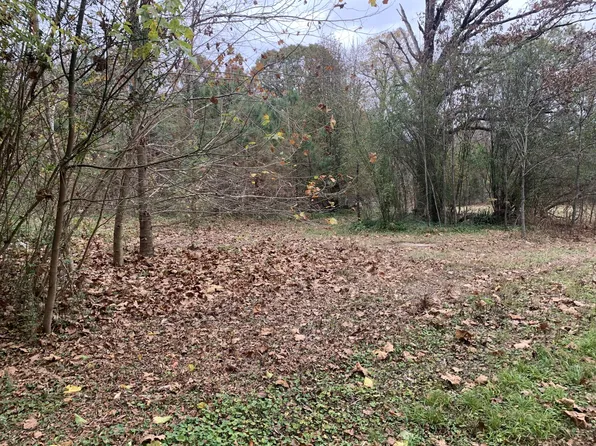 85 Arthur Ln, Hickory Valley, TN 38042