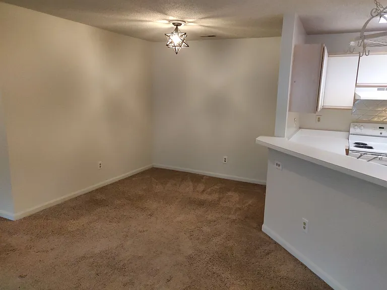 3 Ashlar Hill Ct — Photo 8