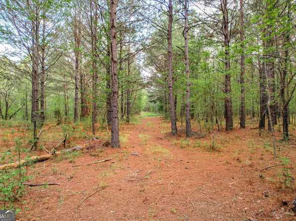 6995 Cobbham Rd, Appling, GA 30802