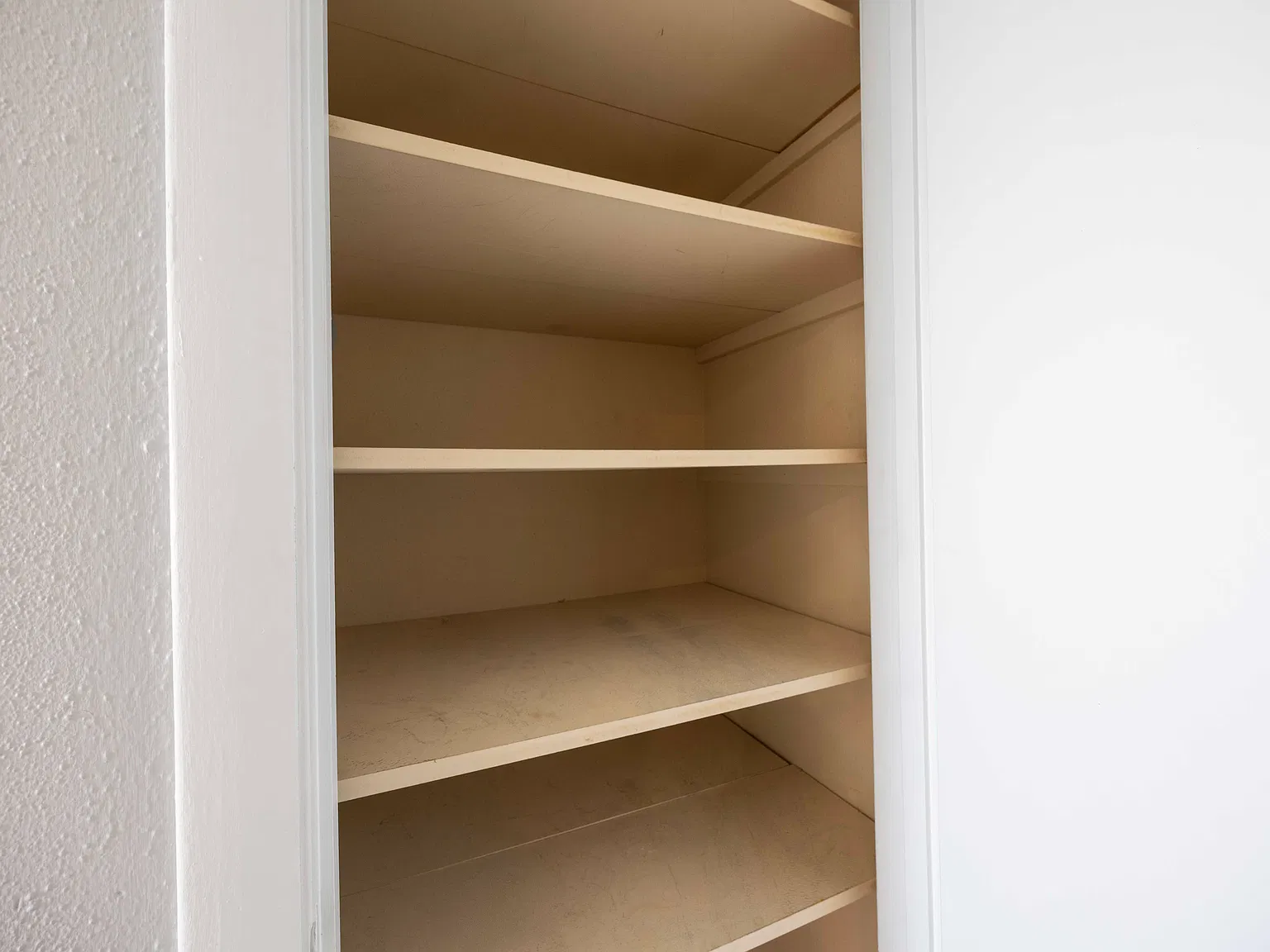 1 bed, 800 sqft, $1,000 — Photo 3