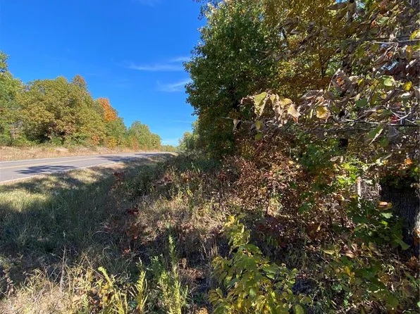 0 Highway 17 S, Laquey, MO 65534