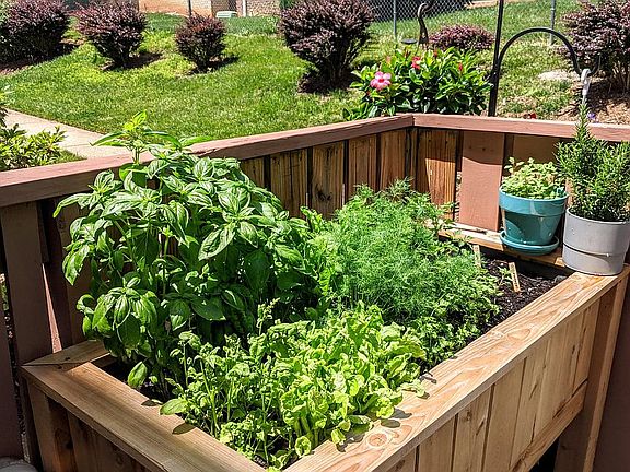 Patio Raised Garden