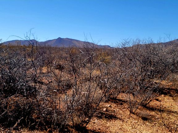 2nd image of Lot 12 E Shale Drive #12