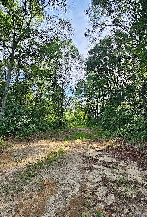 1st image of 931 County Road 216