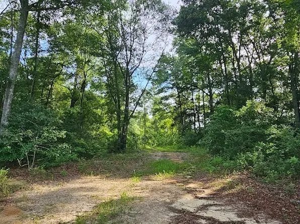 931 County Road 216, Ariton, AL 36311