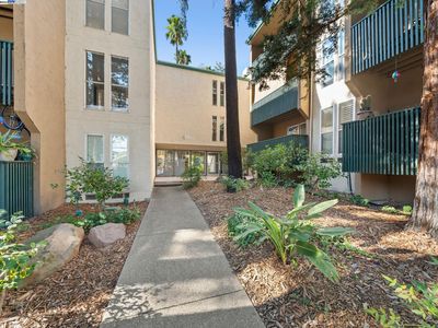 185 Sierra Dr APT 203, Walnut Creek, CA, 94596