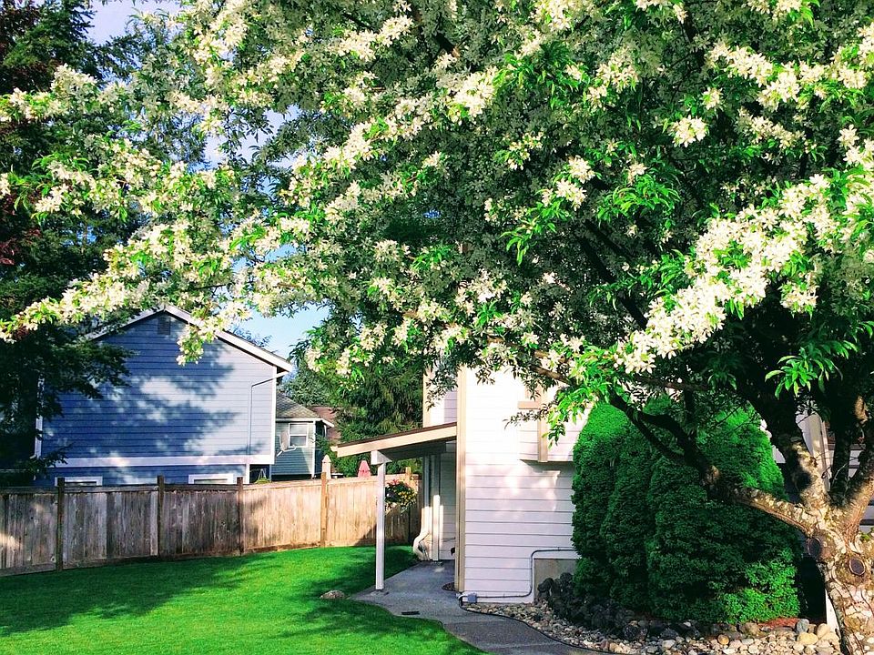 Yard and patio/front entrance