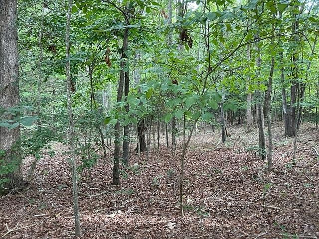 1st image of 3 Huntsburg Dr #3